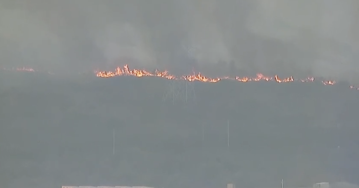 Henderson Fire forces temporary I-5 closure in North County