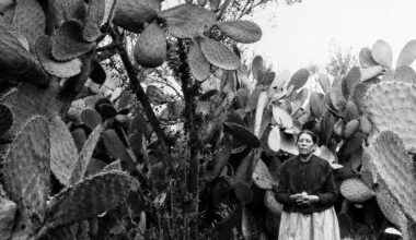 HISTORIC PLACES WITH ELSA SEVILLA: CALIFORNIA'S HISTORY: Women Who Built San Diego