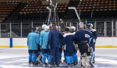 Professional hockey is back in Fresno. What’s new this time around?