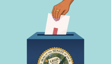 California State Senate: Who's running in the Nov. 3 general election and why it matters