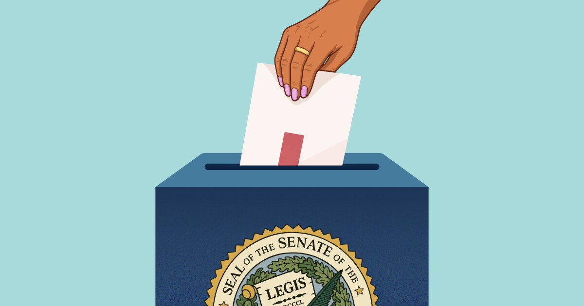 California State Senate: Who's running in the Nov. 3 general election and why it matters