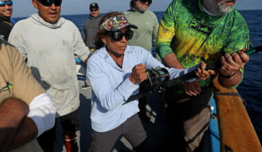 El Niño shifts exotic sea creatures to Southern California's coast. Here’s what anglers are seeing