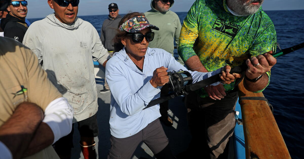 El Niño shifts exotic sea creatures to Southern California's coast. Here’s what anglers are seeing