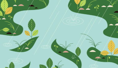 5 native plants you can plant this month that’ll benefit from rain