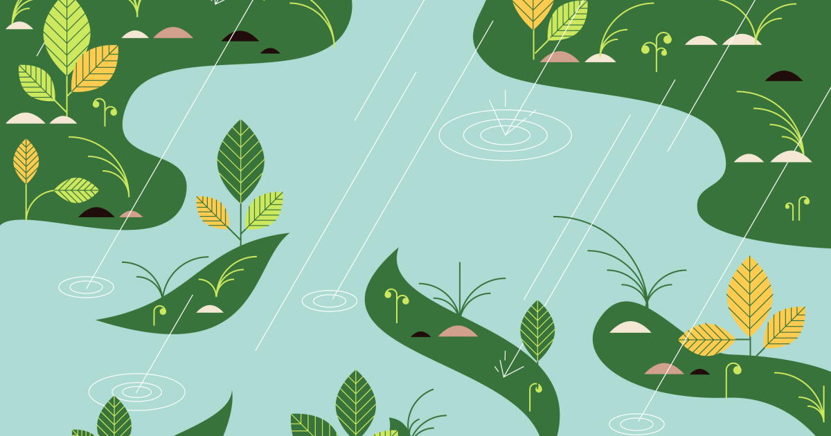 5 native plants you can plant this month that’ll benefit from rain