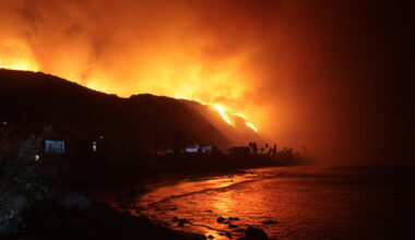 Contributor: Charge wildfire arsonists with cruelty to animals