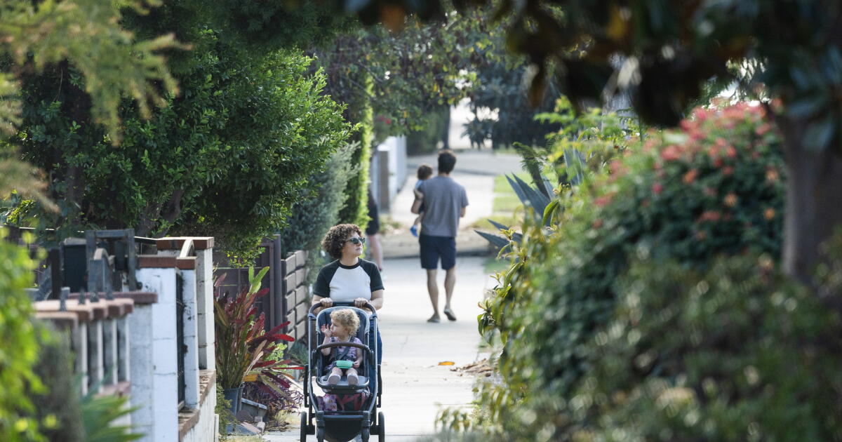 Neighbor who allegedly fed Atwater Village coyote could be charged