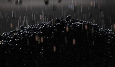 California wine glut sends premium bottles to Costco, Aldi and Kroger at bargain prices
