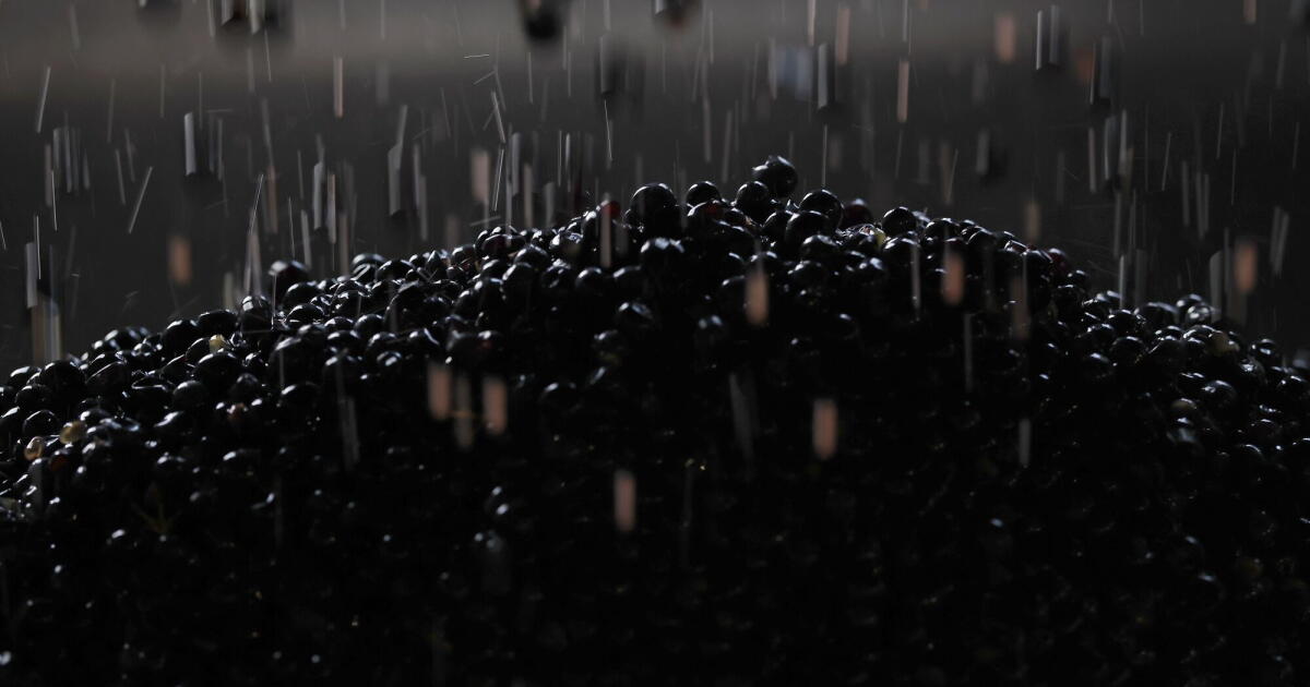 California wine glut sends premium bottles to Costco, Aldi and Kroger at bargain prices