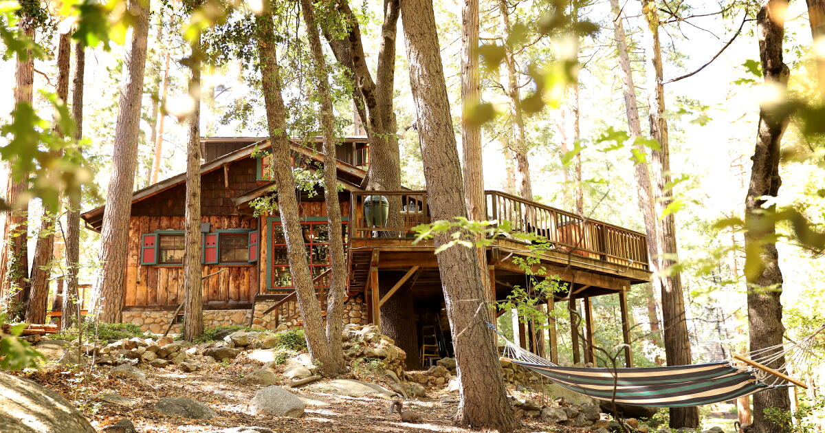Do you rent in L.A. but own elsewhere? We want to hear from you