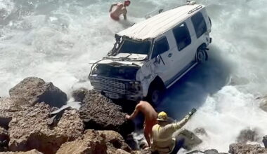 Watch dogs pulled from the Pacific after van plunges into the surf near Malibu