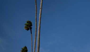 Live updates: First Santa Ana winds of the season bring fire risk to L.A.