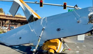 Airplane crushed after nosediving onto California street, 2 adults, child survive