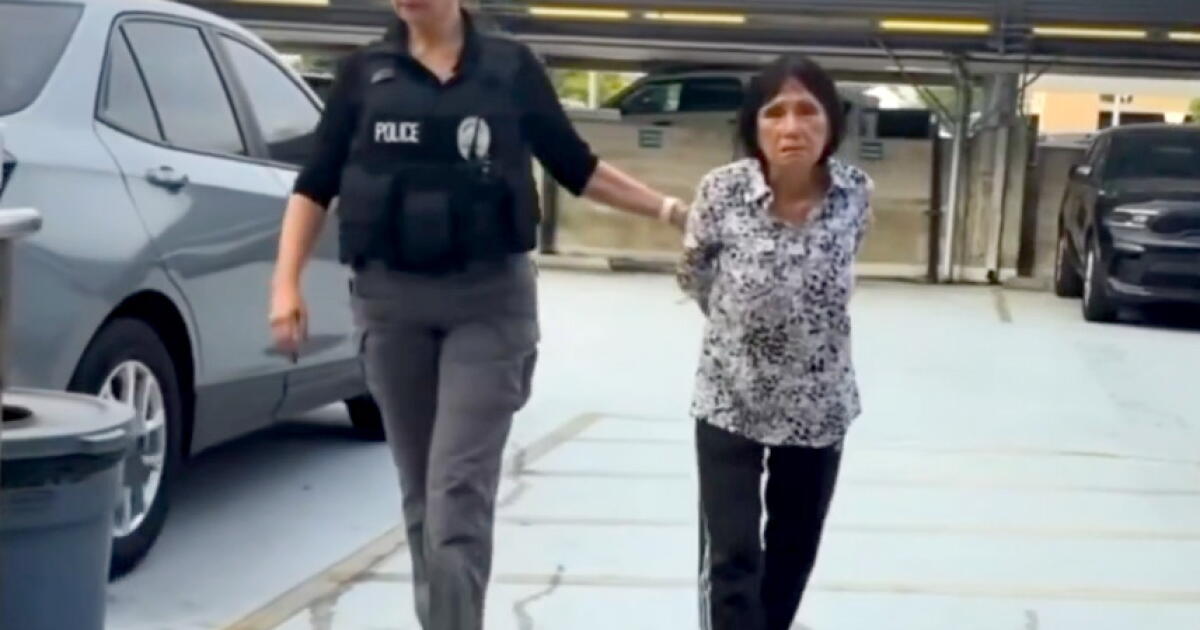 SoCal woman allegedly caught on video running over puppy is arrested