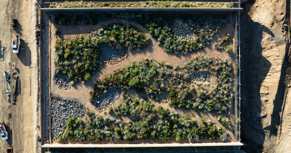 World's largest wildlife crossing is on track to open this winter — unless El Niño intervenes