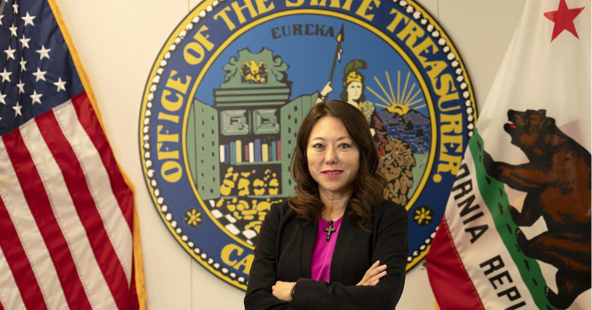 California state treasurer election voter guide: Kounalakis vs. Hawks