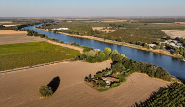 California paid $180 million on water for Sacramento salmon