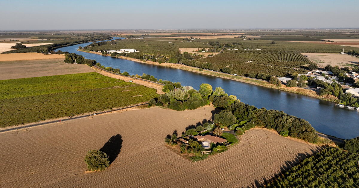 California paid $180 million on water for Sacramento salmon