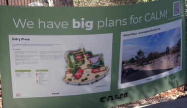 Kern County voters to decide on Measure Z sales tax increase for CALM Zoo