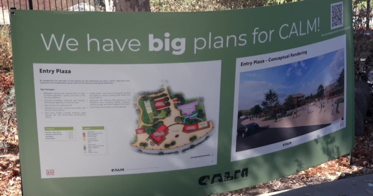 Kern County voters to decide on Measure Z sales tax increase for CALM Zoo