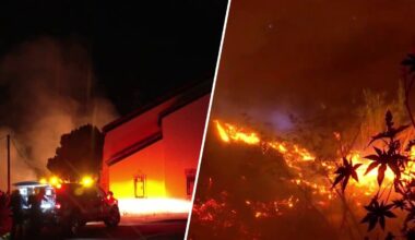 Brush fire burns in West Los Angeles – NBC Los Angeles