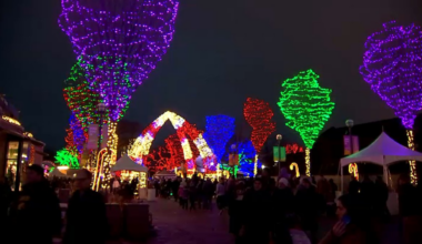 ‘Zoo Lights’ return to San Francisco Zoo after hiatus – NBC Bay Area