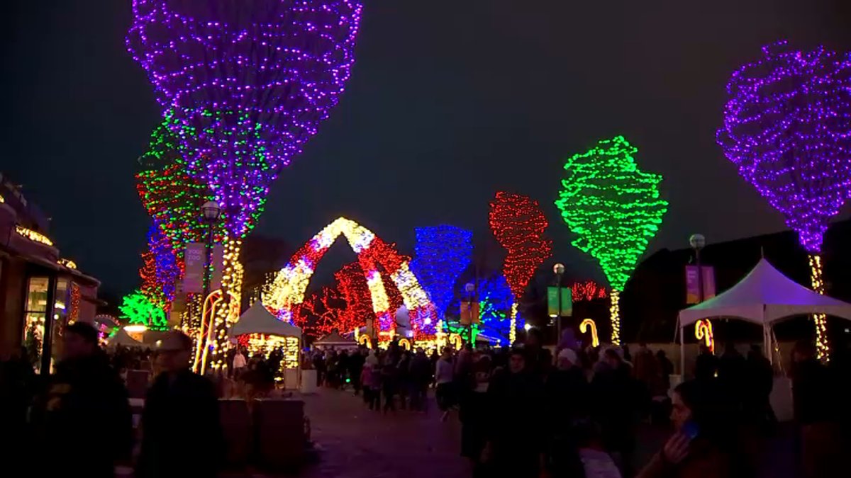 ‘Zoo Lights’ return to San Francisco Zoo after hiatus – NBC Bay Area