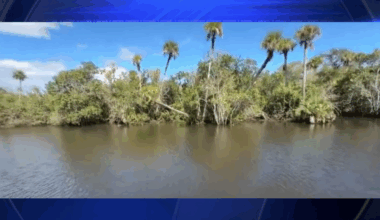 Rescuers save missing woman stuck in mangroves - WSVN 7News | Miami News, Weather, Sports