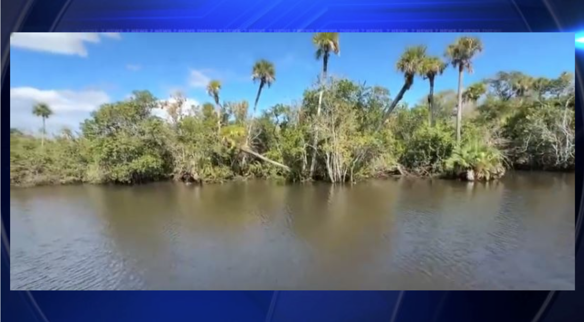 Rescuers save missing woman stuck in mangroves - WSVN 7News | Miami News, Weather, Sports