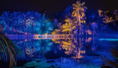 Miami’s Favorite Winter Light Experience Returns This November