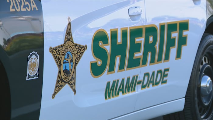 Woman hurt after dogs attack her and child in northwest Miami-Dade