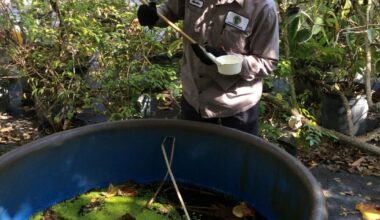 How Florida’s weather swings are shaping mosquito season