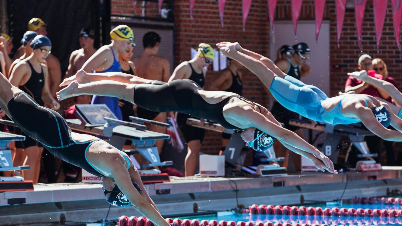 University of South Carolina Logo