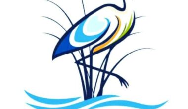 PSL declines joining municipal lawsuit | St. Lucie County