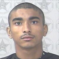 Two adults charged with sexual abuses of two juveniles | St. Lucie County