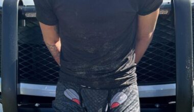 Two adults, two juveniles apprehended during chase by St. Lucie County sheriff’s deputies | St. Lucie County