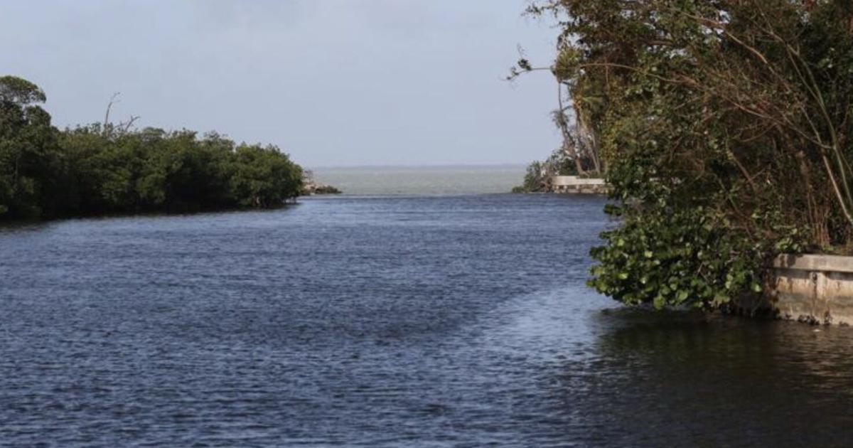 A wetter midweek outlook for Key Biscayne | Key Biscayne