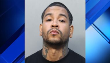 Ringleader arrested for vandalism acts across the city