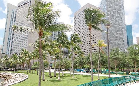 As city delays transfer, Bayfront Park trust lives on