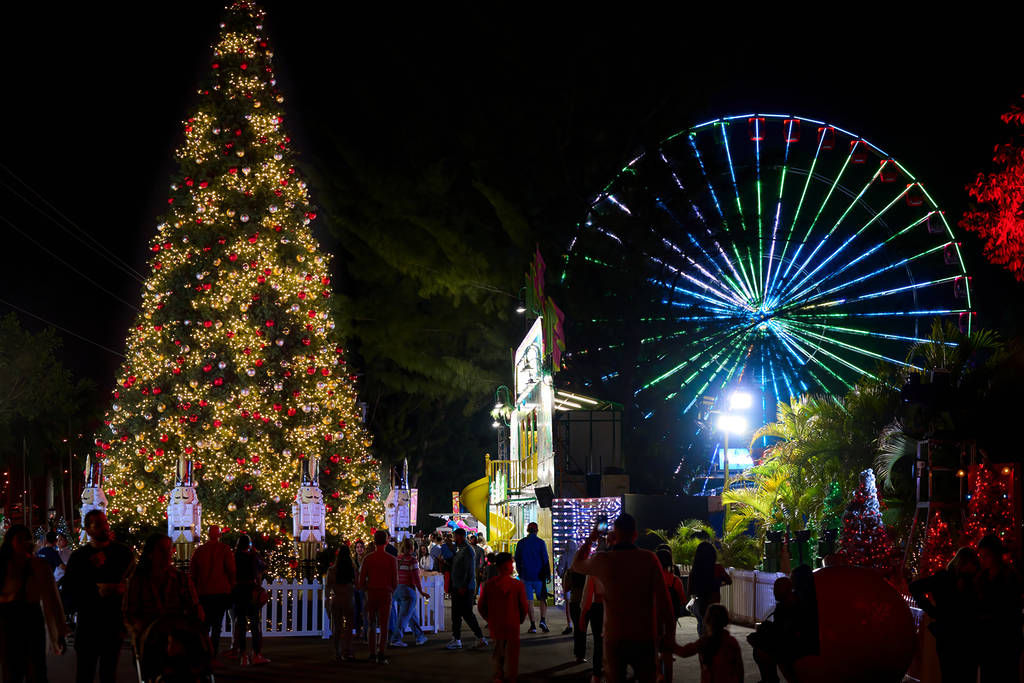 Christmas Tree and Eye in the Sky at Christmas Wonderland