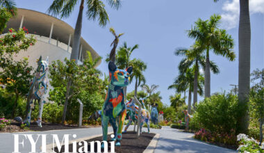 FYI Miami: October 30, 2025