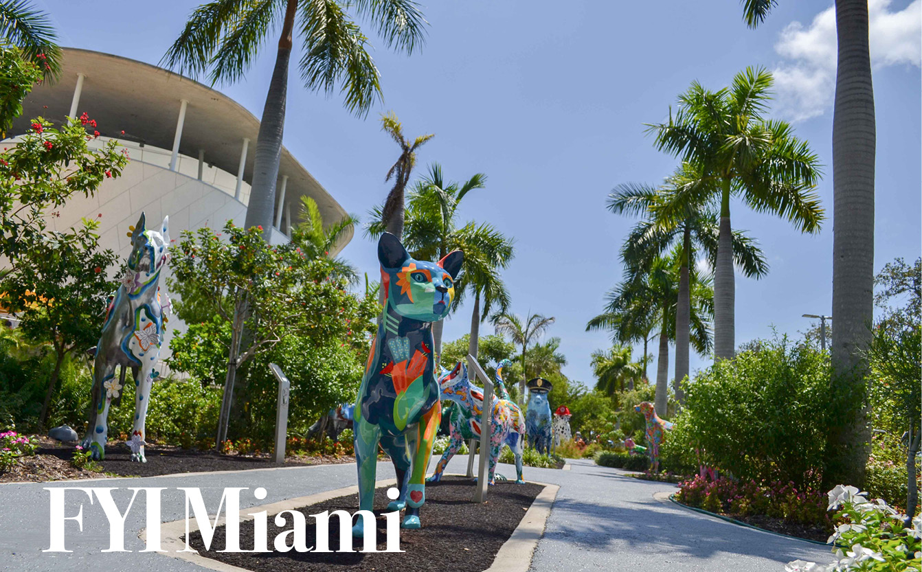 FYI Miami: February 19, 2026