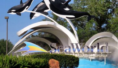 SeaWorld faces lawsuit alleging hidden ticket fees