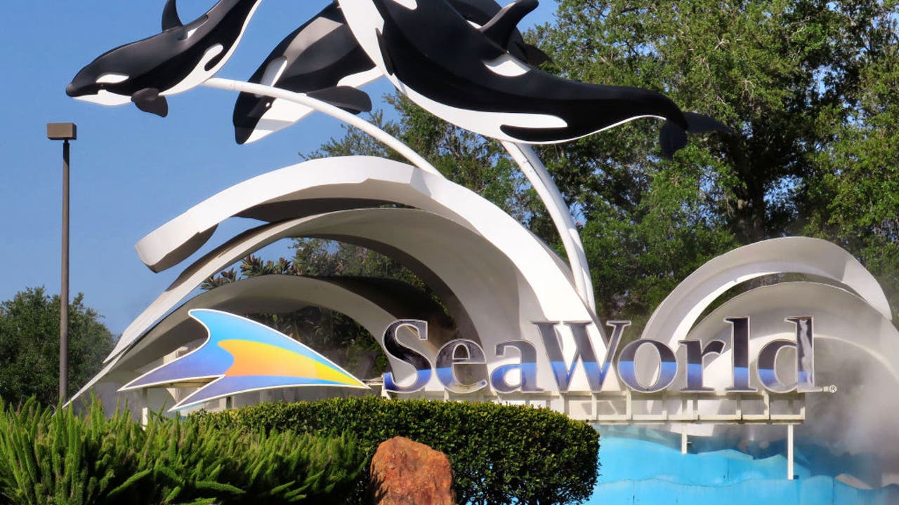 SeaWorld faces lawsuit alleging hidden ticket fees