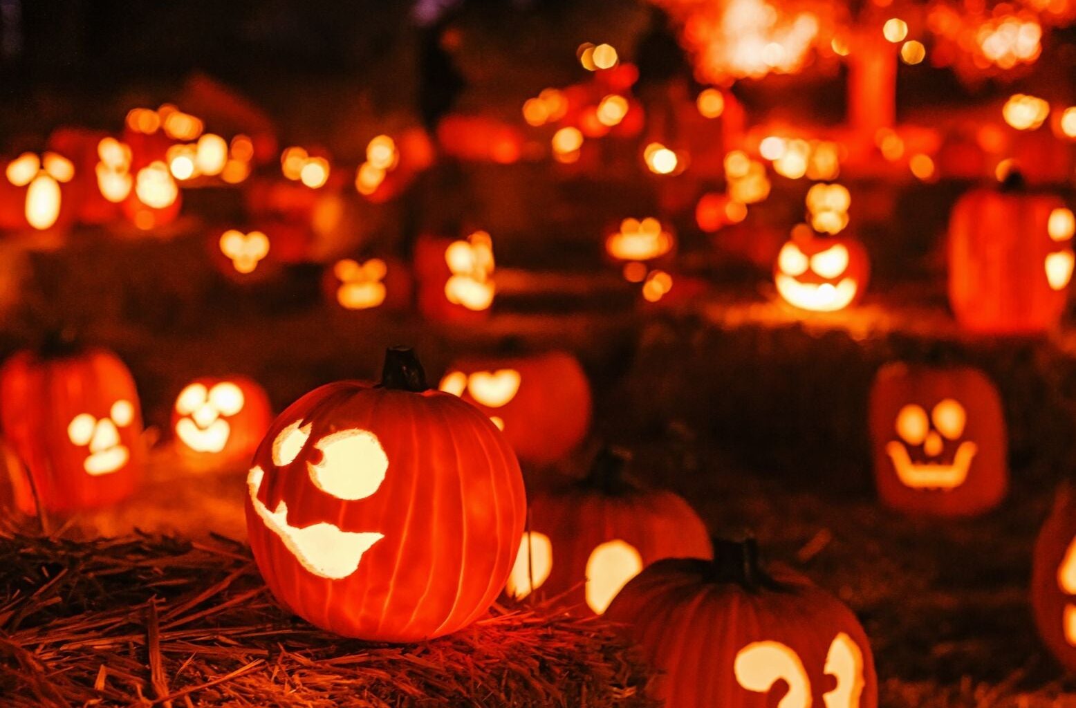 People Love Visiting This Florida Spot for Halloween