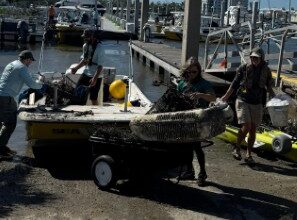 Over 100 Volunteers Help Clean The Water - Beach Talk Radio News