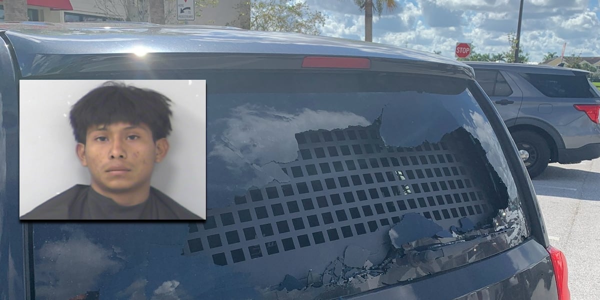 19-year-old arrested by Port St. Lucie police after rock thrown at ICE vehicle window