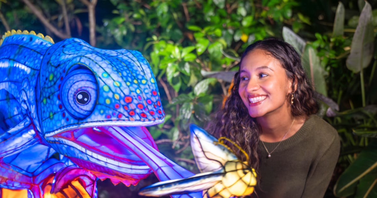 Aquatica Orlando Launches First Nighttime Lantern Festival, ILLUMINATE, This November