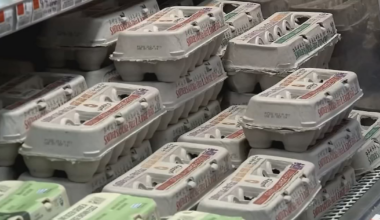 Florida Residents React To SNAP Benefits Running Out