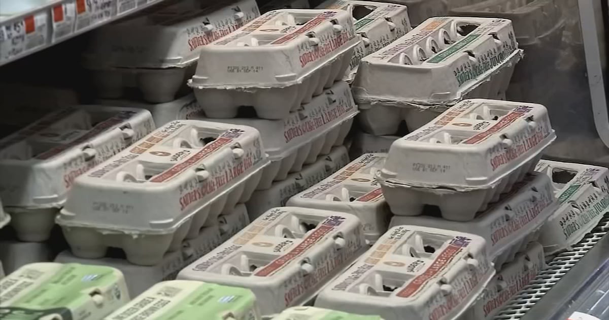 Florida Residents React To SNAP Benefits Running Out